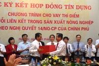 Lễ ký kết hợp đồng tín dụng giữa các doanh nghiệp và ngân hàng